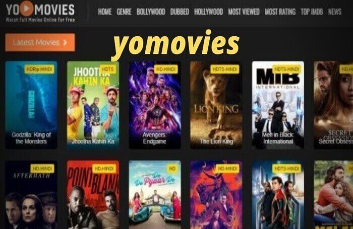 yomovies