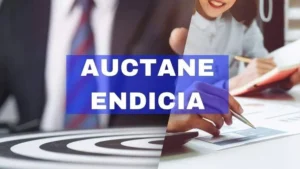 How Auctane Endicia is Revolutionizing Shipping Solutions