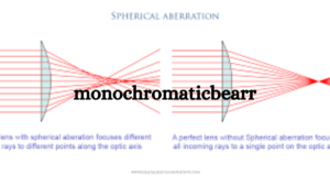 MonochromaticBearr: A Deep Dive into the Visual Aesthetic and Cultural Significance