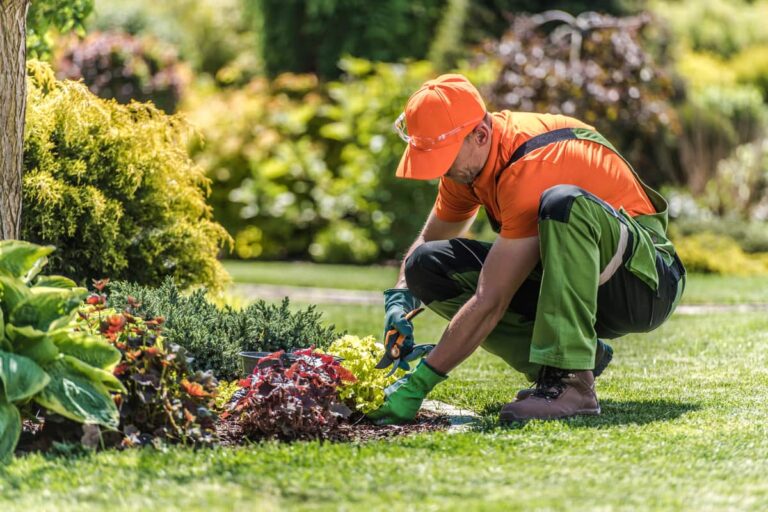 Questions to Ask Before Hiring a Landscaper