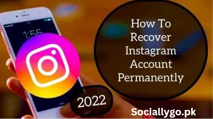 Get More Insta Followers Generates Organic Growth in SociallyGo.pk