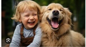 帶毛孩去韓國？寵物旅遊全攻略