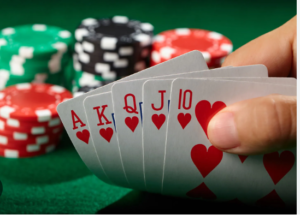 Unlocking the Badak178 Experience: What Gamers Need to Know