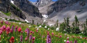 A Homeowner’s Guide to Radon Fan Installation in Loveland, CO