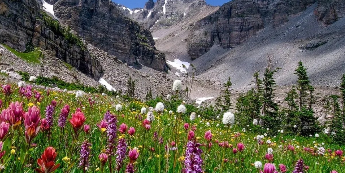 radon mitigation Loveland CO