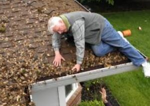 Why is Gutter Maintenance Essential for Alachua Homes? A Complete Guide