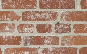 Who Provides the Best Chimney Repair and Dryer Vent Cleaning in Virginia Beach?